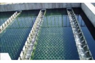 【干貨】生物濾池為什么一受沖擊氨氮去除率就會(huì)下降？